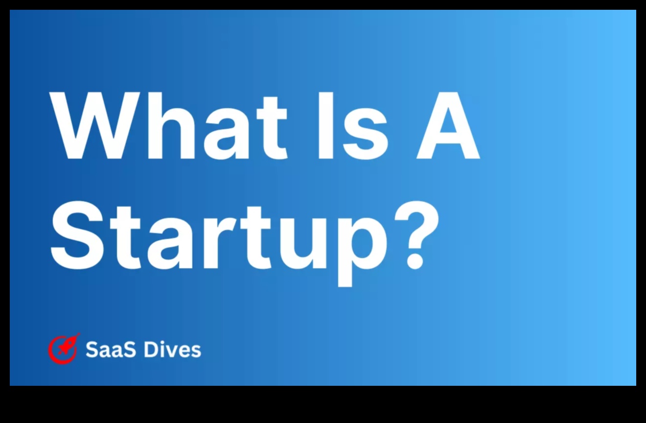 المشاريع الجريئة: الشركات الناشئة التي تتجاوز الحدود