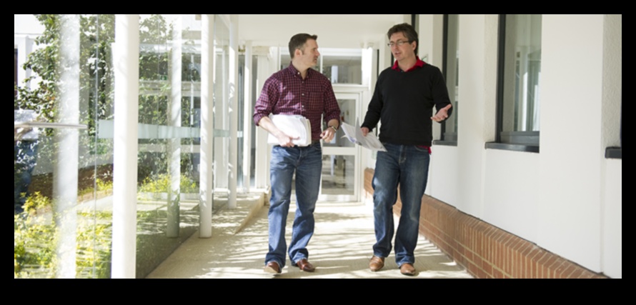 تطورو الأعمال: تشكيل مشهد التنمية في الغد