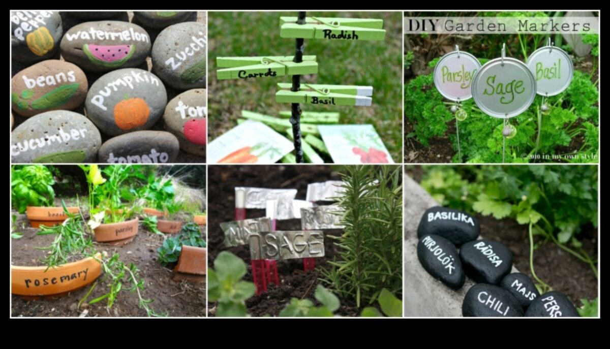 الحرف اليدوية للبستنة: إنشاء علامات نباتية مصنوعة يدويًا