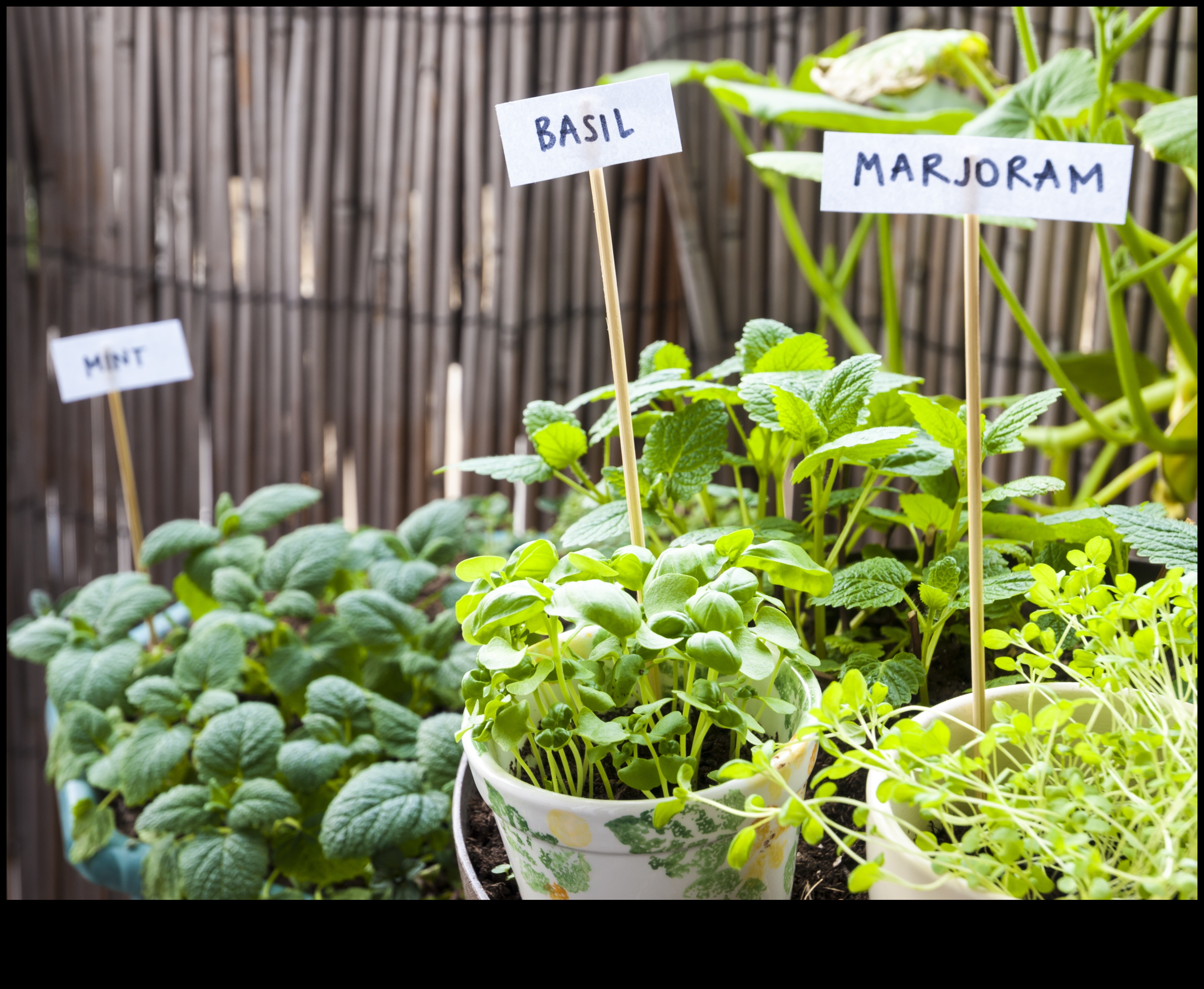 الحرف اليدوية للبستنة: إنشاء علامات نباتية مصنوعة يدويًا