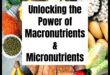 إطلاق العنان للعافية: دور المغذيات الدقيقة في حياة متوازنة