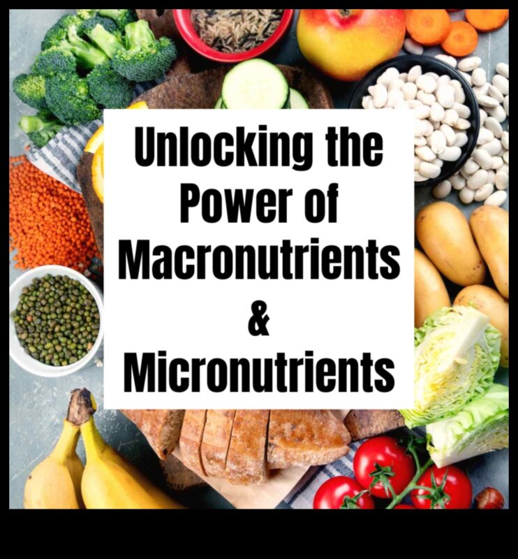 إطلاق العنان للعافية: دور المغذيات الدقيقة في حياة متوازنة