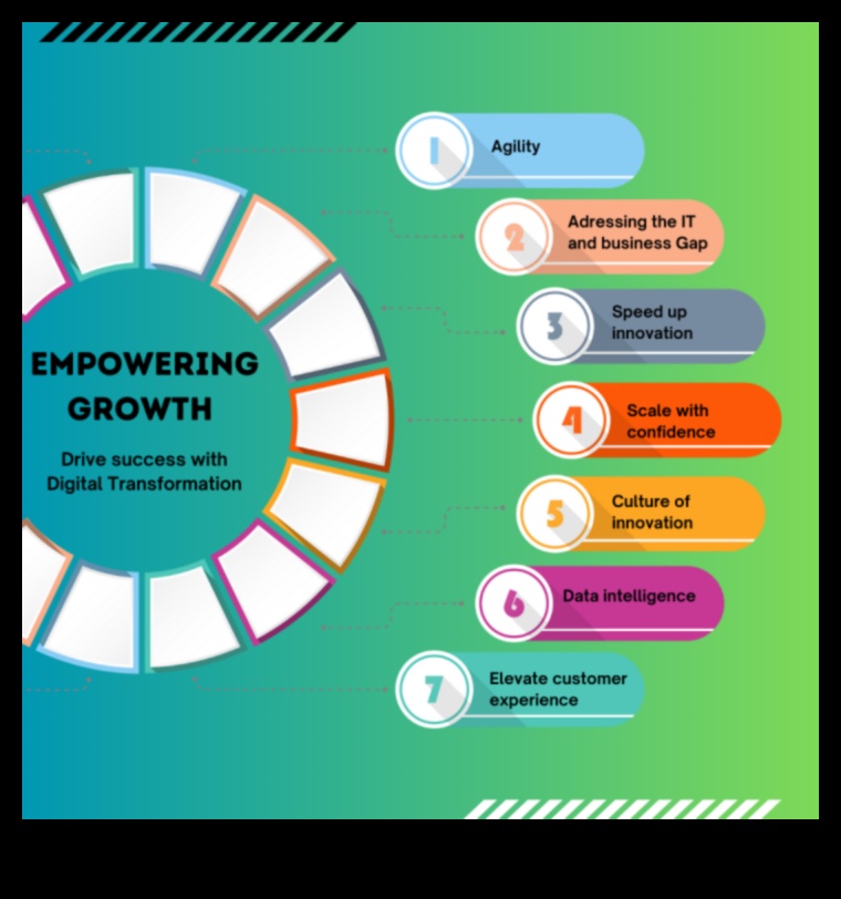 الارتقاء والابتكار: استراتيجيات نجاح إدارة الأعمال