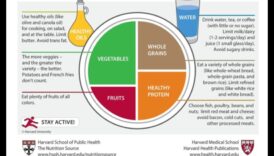 الطبق المتوازن: تغذية الشيخوخة لحياة صحية