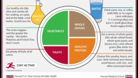 لوحة للازدهار: استراتيجيات غذائية لحياة مزدهرة