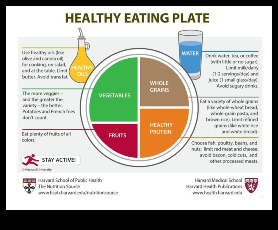 الطبق المتوازن: تغذية الشيخوخة لحياة صحية