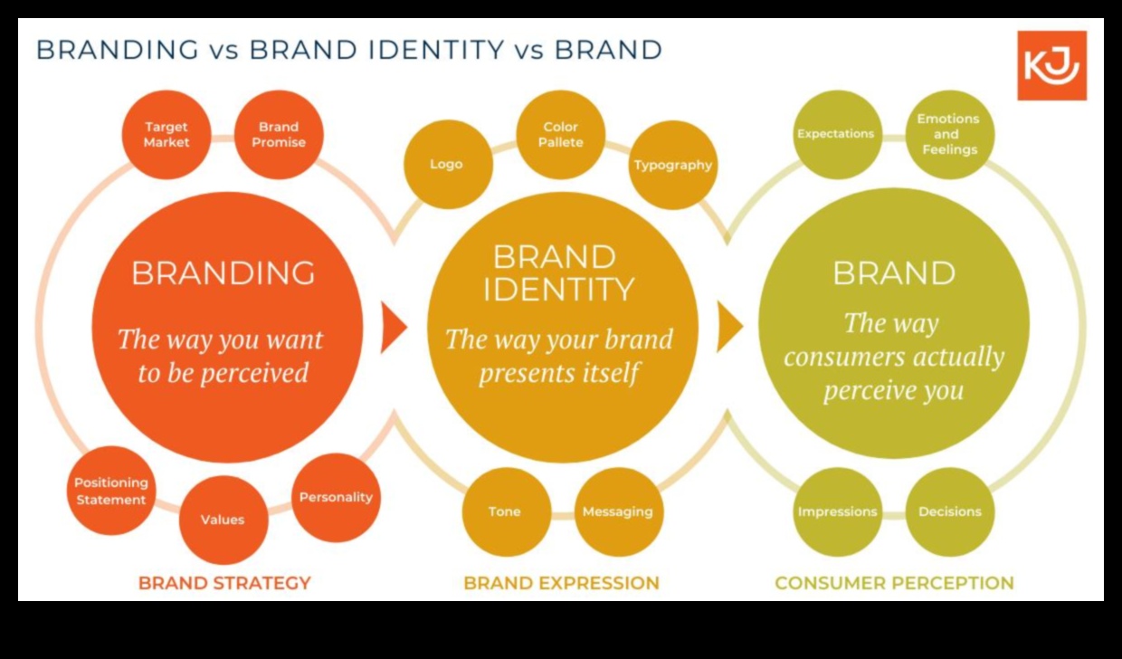 من المفهوم إلى المستهلك: دليل مصمم العلامة التجارية